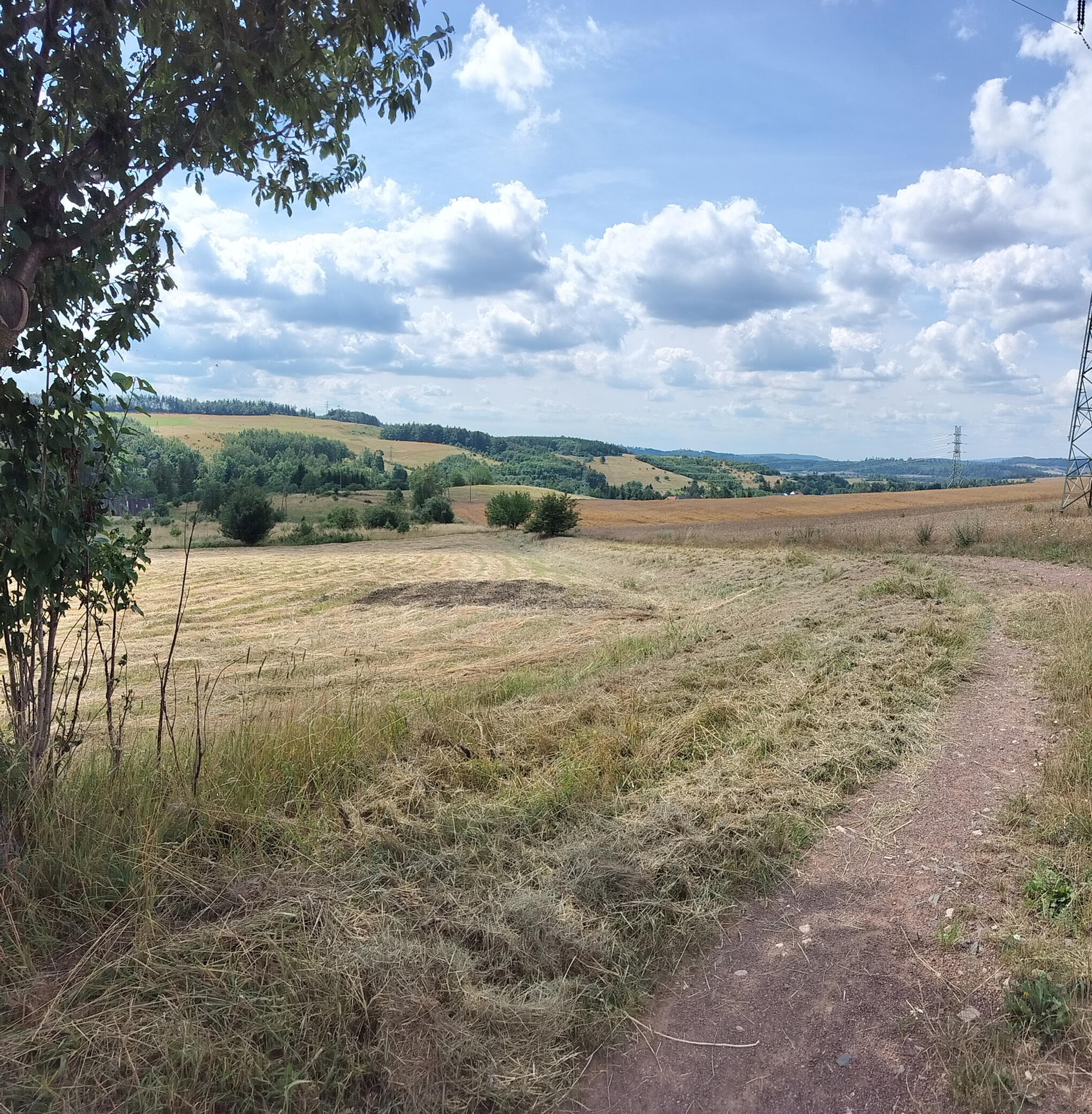 oszroniony kwiatek jest blady na tle śniegu, ale wyraźnie widoczny i piękny na dłoni