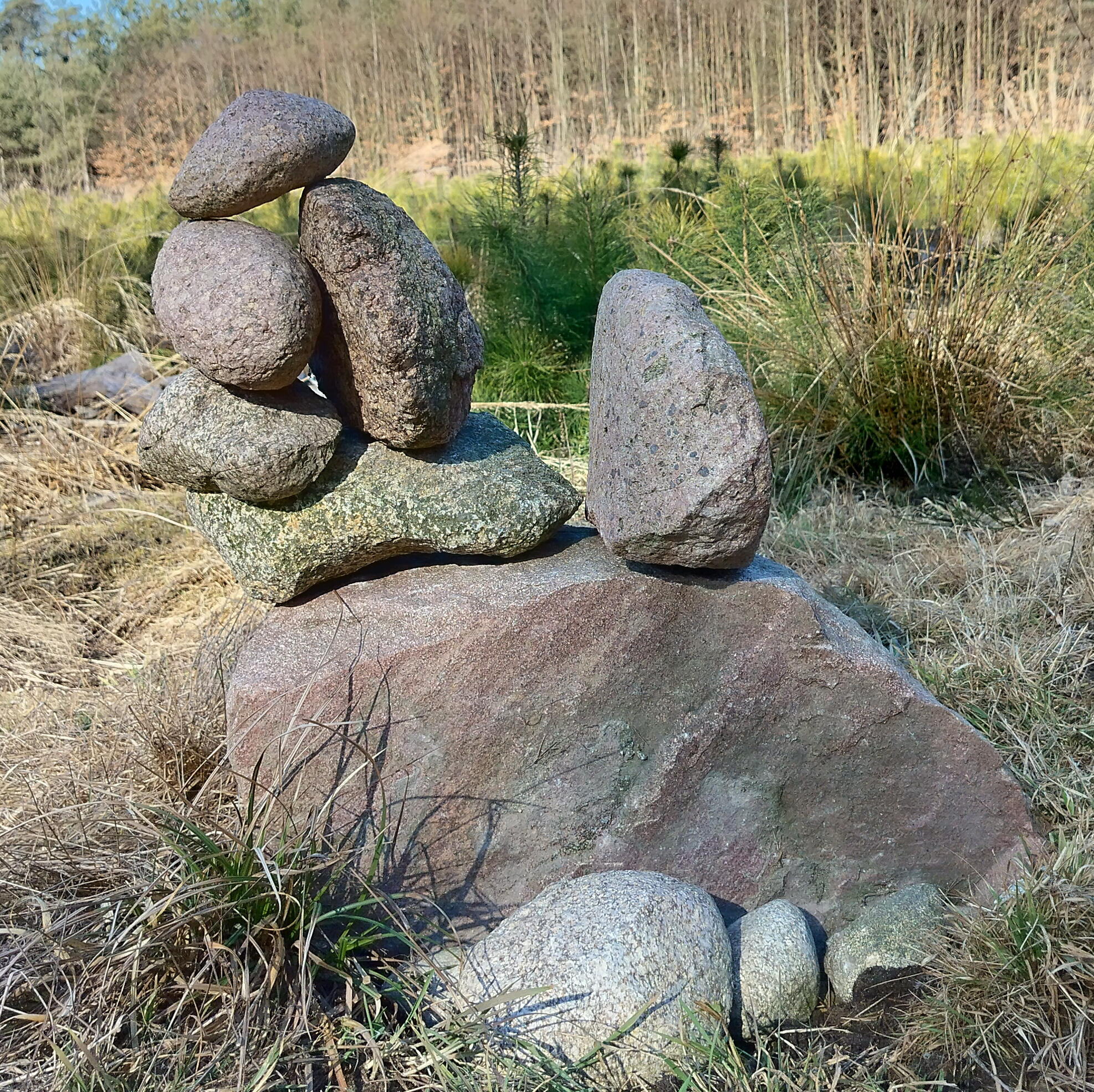 oszroniony kwiatek jest blady na tle śniegu, ale wyraźnie widoczny i piękny na dłoni